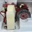 1/16-farmall-504-w/cultivator-2007-sfts-nib-sc-image-2