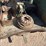 oliver-99-image-37