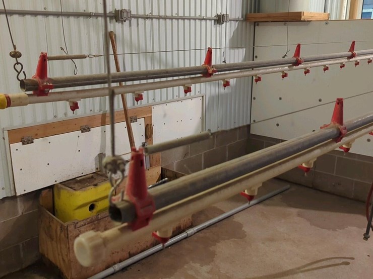 (2)-ziggity-systems-hanging-chicken-watering-systems-image-4