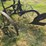 vintage-mc-cormick--sulkey-plow-image-2