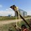 new-holland-456-image-10