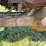 massey-ferguson-97-image-70