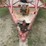 2000-79x16ft.-14in.-sides,-tandem-axle-trailer,-image-4