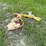 metal-pelican-lawn-art-image-2