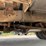 1975-ford-f350-image-86