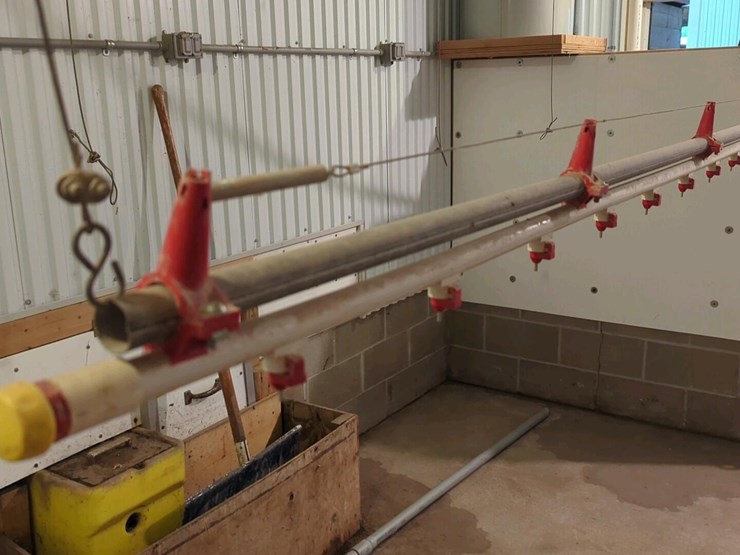 (2)-ziggity-systems-hanging-chicken-watering-systems-image-5