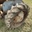 massey-harris-pony-image-9