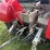 massey-ferguson-97-image-53