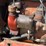 massey-ferguson-444-image-53