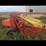 new-holland-116-image-2