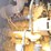 2020-caterpillar-c15-image-6