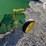 2004-john-deere-457-image-15