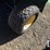 2005-john-deere-gator-tx-turf-image-9