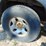 2004-toyota-tacoma-sr5-image-5