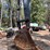 2010-deere-350d-image-9