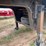 1995-king-trail-image-28