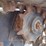 2020-bobcat-mt85-image-17