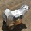 unused-titan-ttp300-3x3-trash-pump.-image-2