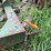 #7133-•-john-deere-3-point-quick-hitch-image-5