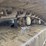 komatsu-pc270-lc-image-74