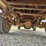 1984-chevrolet-k10-image-53