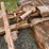 woods-72-image-13