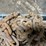 #7160-•-(2)-chains-image-5