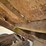 international-loadstar-image-81