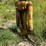 deere-850b-image-41