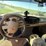 2006-ford-f350-sd-king-ranch-image-16