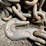 #7162-•-(2)-chains-image-3