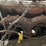 #7165-•-engine-and-transmission-image-6