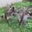 #7135-•-metal-cultivator-pieces-image-8