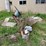 #7121-•-lot-of-scrap-and-concrete-slabs-image-1