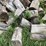 #7132-•-cut-firewood-image-3