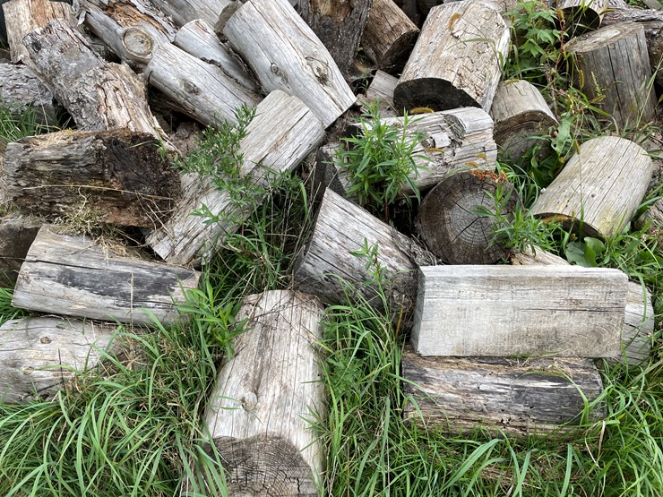 #7132-•-cut-firewood-image-3