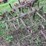 #7135-•-metal-cultivator-pieces-image-9