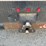 2016-ford-f550-image-19