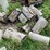 #7132-•-cut-firewood-image-2