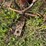#7109-•-westfield-8"-pto-sd-driven-grain-auger-image-23