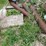 #7121-•-lot-of-scrap-and-concrete-slabs-image-10
