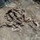 #7162-•-(2)-chains-image-1