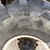 2006-raven-viper-image-59