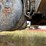 2004-international-durastar-4400-image-69