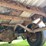 #7107-•-2007-chevy-silverado-4x4-(has-wi-title-in-delay)-image-41