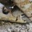 2017-caterpillar-336f-image-75