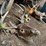 #7197-•-(3)-whitetail-skulls-image-2