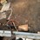 #7188-•-contents-of-corner-image-3