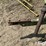 john-deere-466-image-9