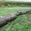 #7136-•-2-logs-image-3